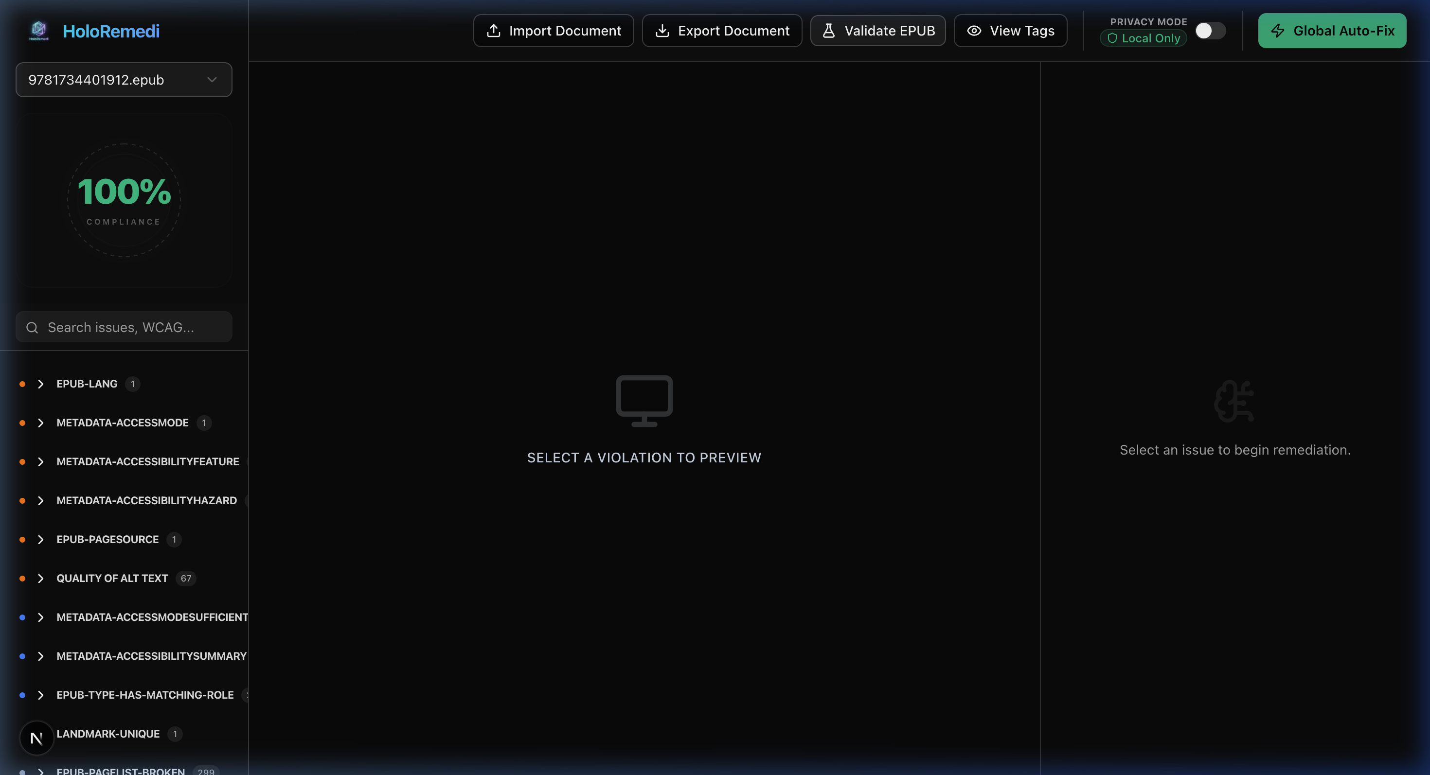 HoloRemedi compliance dashboard showing 100% compliance score with WCAG issue list